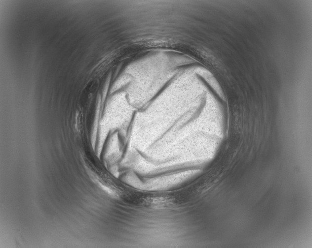 X0000052940165200508050905