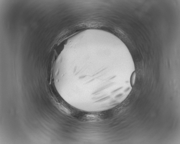 X0000052940167200508050905