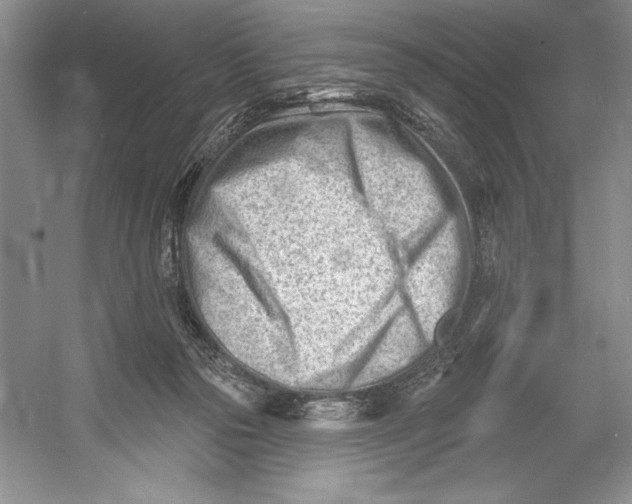 X0000052940169200508050905