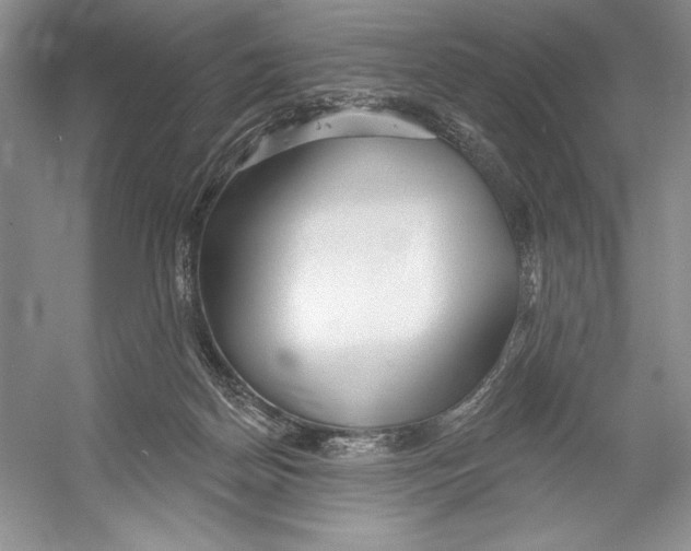 X0000052940170200508050905