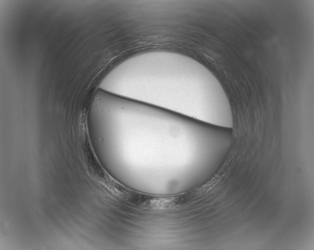 X0000052940172200508050905