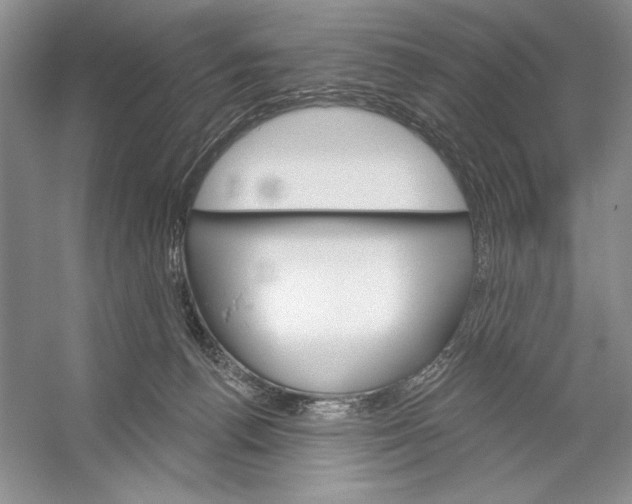 X0000052940176200508050905