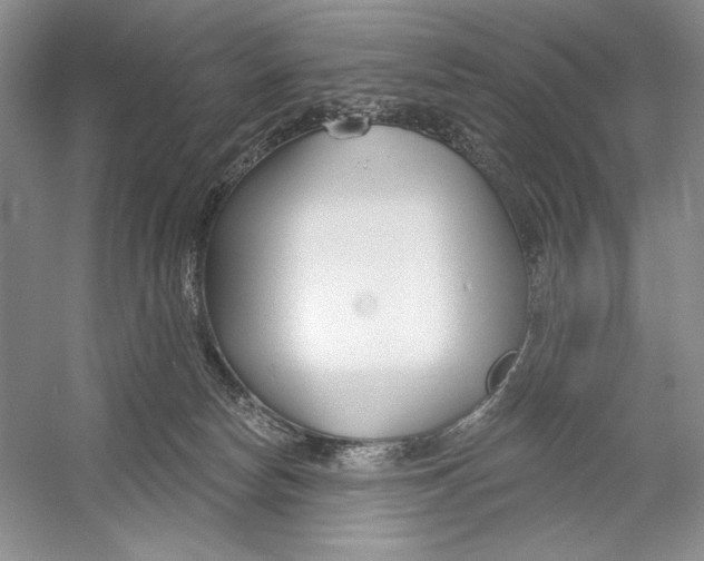 X0000052940178200508050905