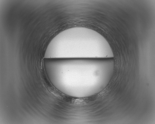 X0000052940180200508050905