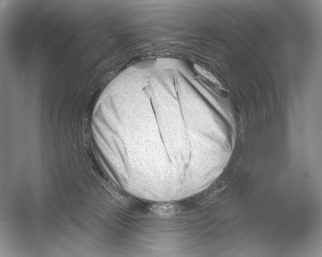 X0000052940181200508050905