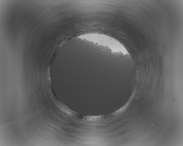 X0000052940182200508050905