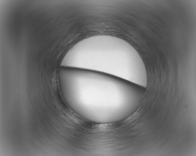 X0000052940184200508050905