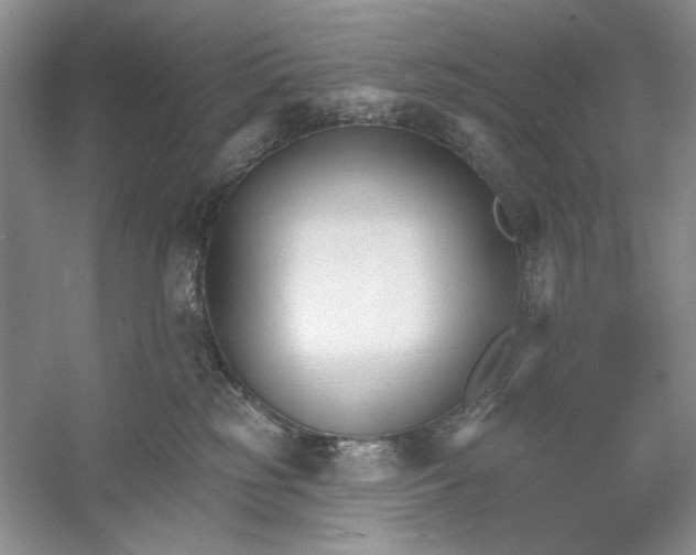 X0000052940185200508050905