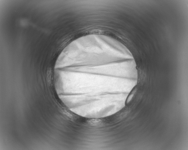 X0000052940189200508050905