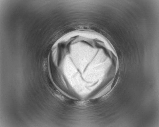 X0000052940191200508050905