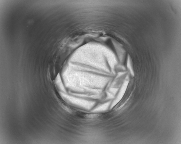 X0000052940192200508050905