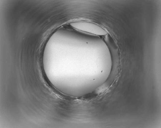 X0000052940193200508050904