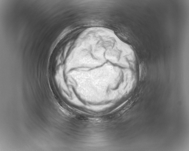 X0000052940195200508050904