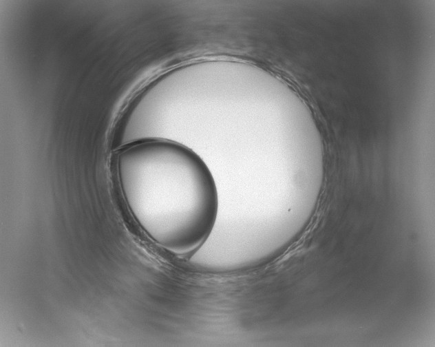 X0000052940197200508050904