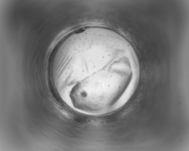 X0000052940199200508050904