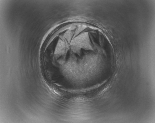 X0000052940200200508050904