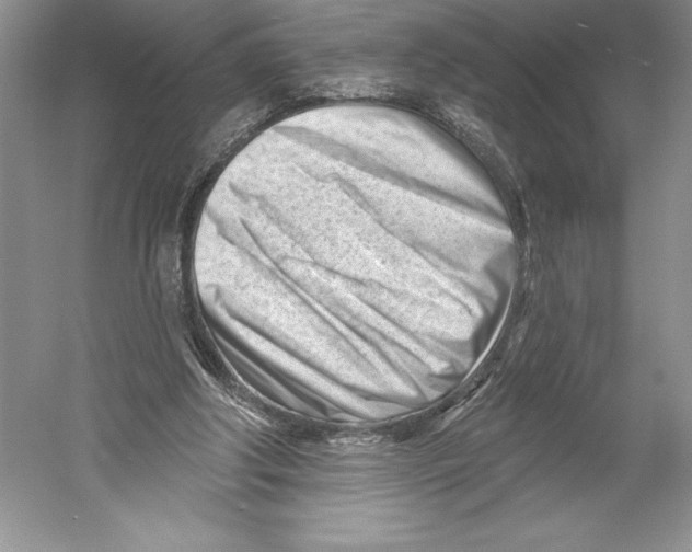 X0000052940202200508050904