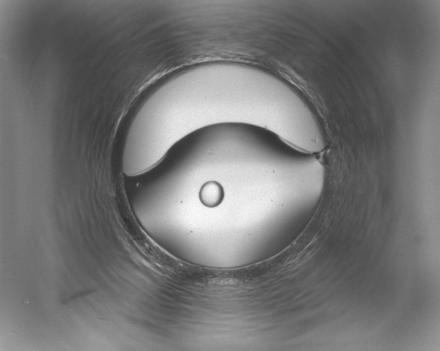 X0000052940203200508050904