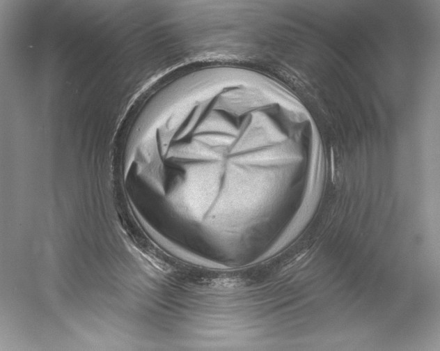 X0000052940204200508050904