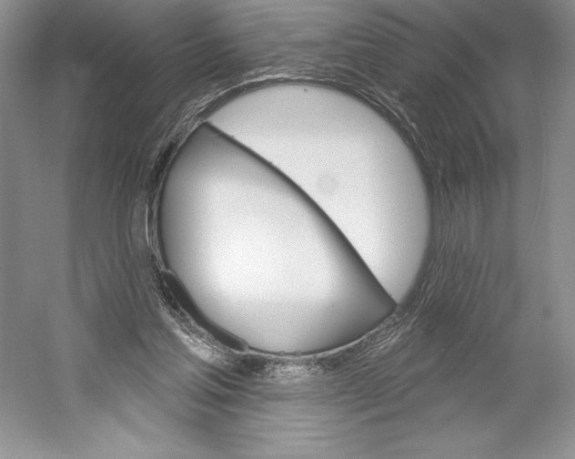 X0000052940205200508050904