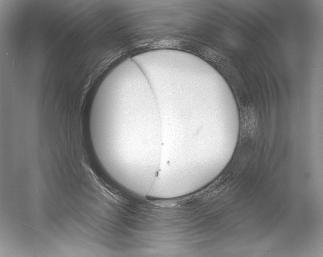 X0000052940206200508050904