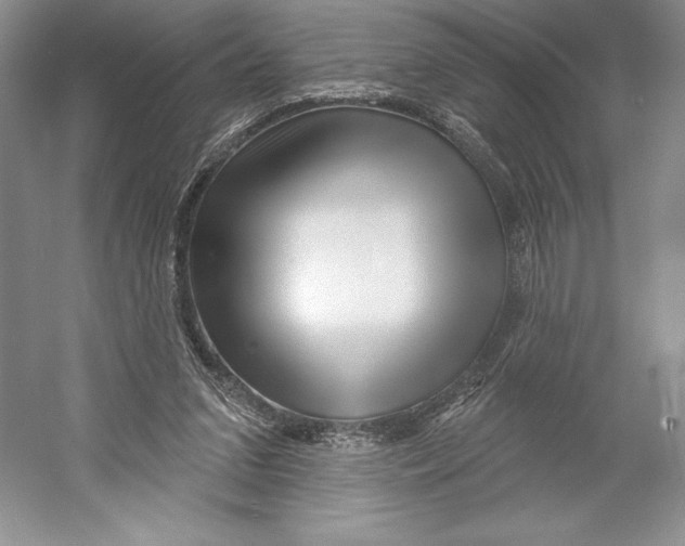 X0000052940207200508050904