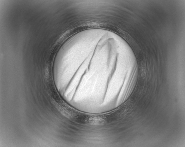 X0000052940208200508050904