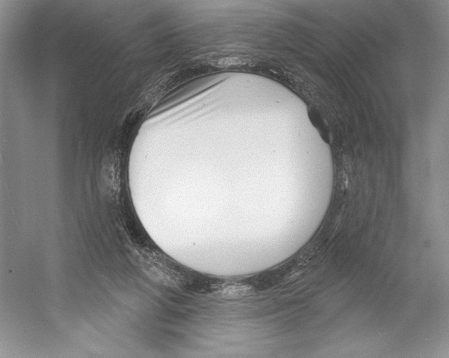 X0000052940210200508050904