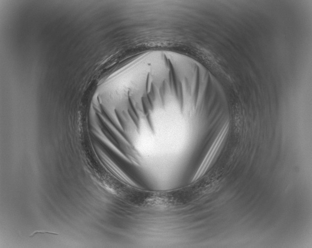 X0000052940211200508050904