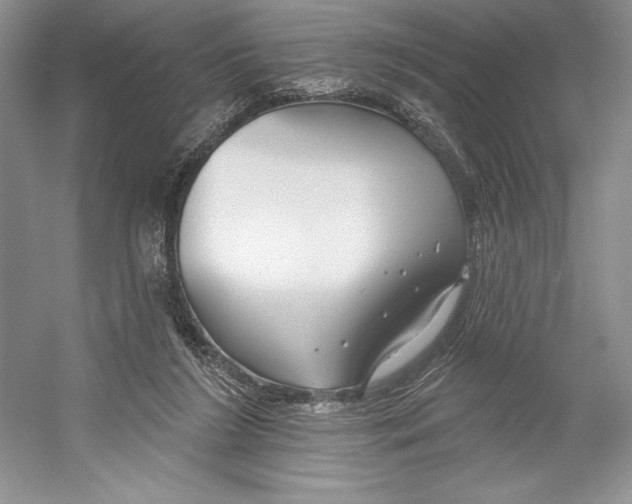 X0000052940212200508050904