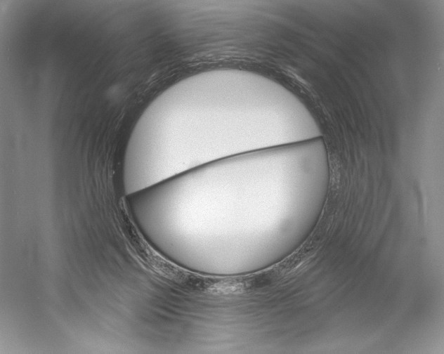 X0000052940213200508050904