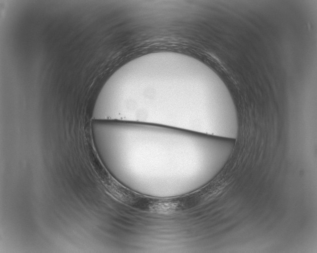 X0000052940217200508050904