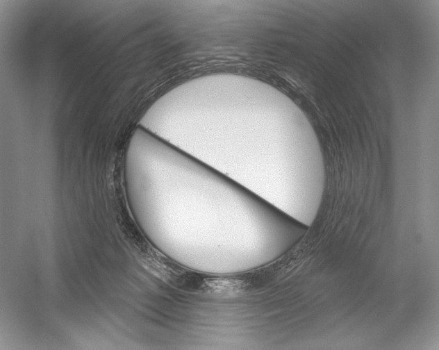 X0000052940221200508050904