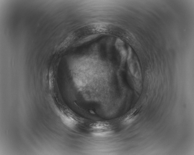 X0000052940223200508050904