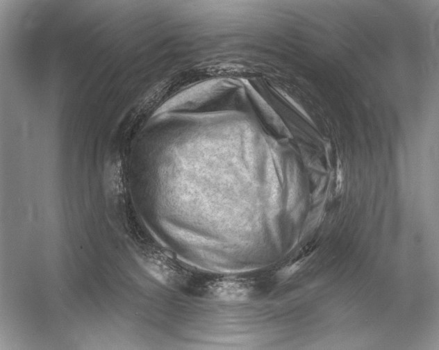 X0000052940224200508050904