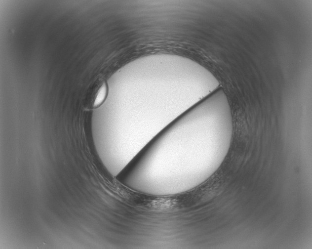 X0000052940225200508050904