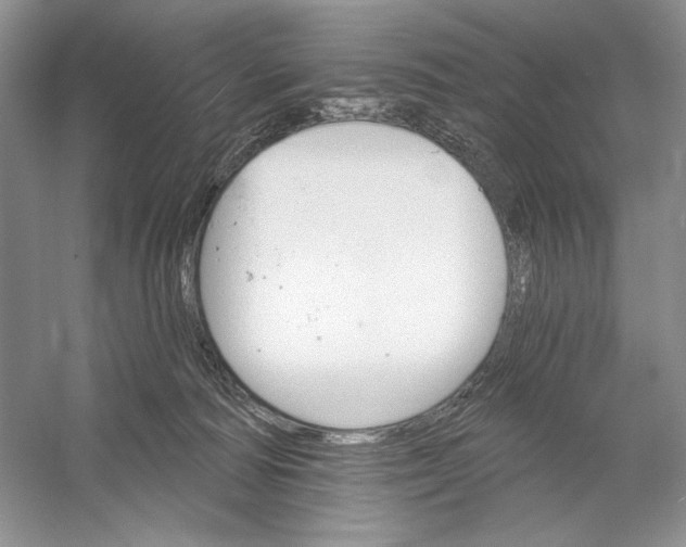 X0000052940226200508050904