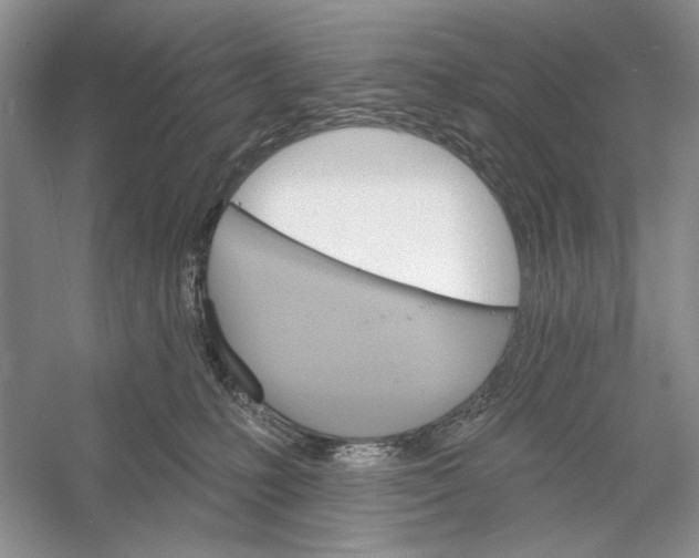 X0000052940231200508050904