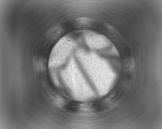 X0000052940232200508050904