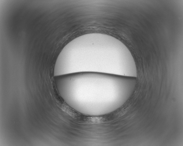 X0000052940233200508050904