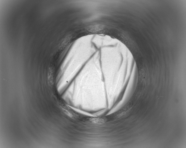 X0000052940234200508050904