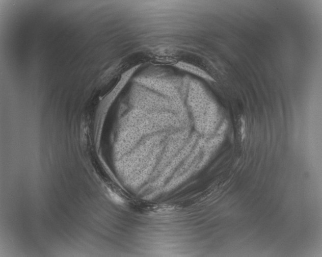 X0000052940235200508050904