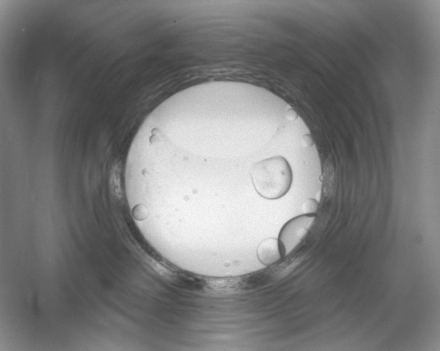 X0000052940238200508050904