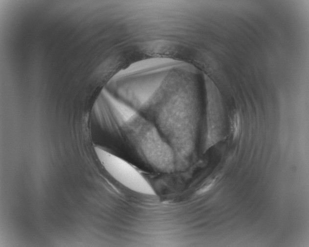 X0000052940239200508050904