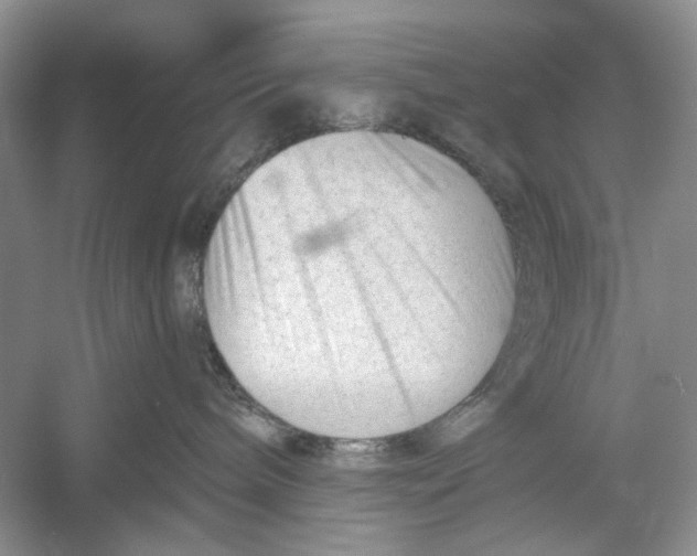 X0000052940240200508050904