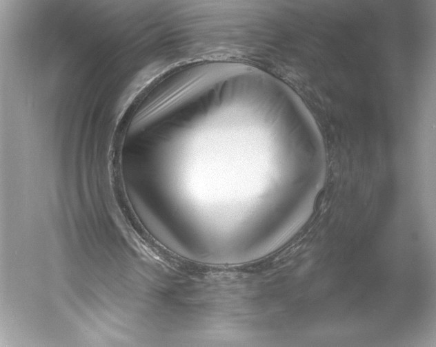 X0000052940242200508050903