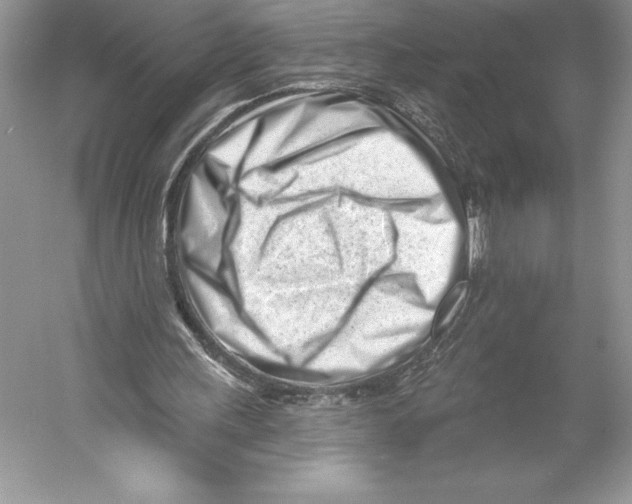 X0000052940243200508050903