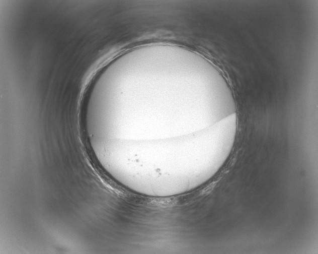 X0000052940245200508050903