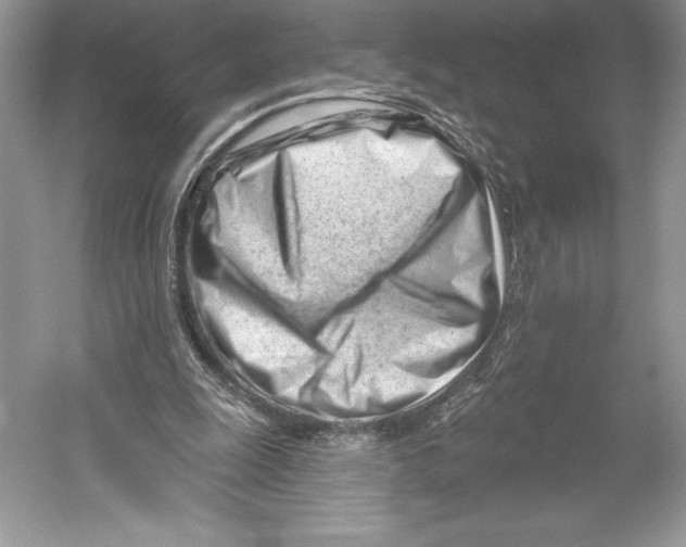 X0000052940247200508050903