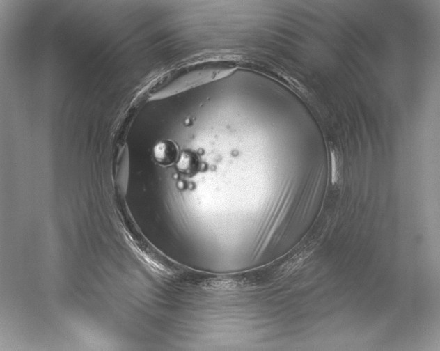 X0000052940253200508050903